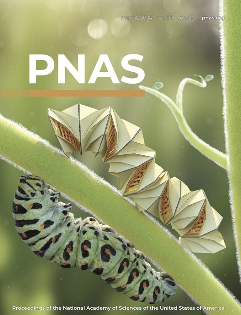 PNAS journal cover featuring an image of a caterpillar